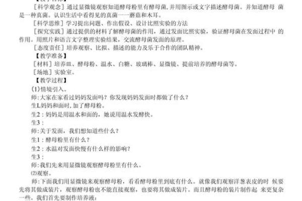 2022年秋天的秘密：揭秘秋季的命运与转折