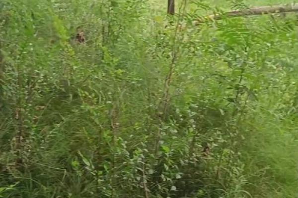 风水揭秘：15楼的命理与居住者的影响大解析