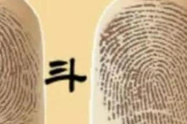 指纹全是簸箕，这种命运究竟意味着什么？