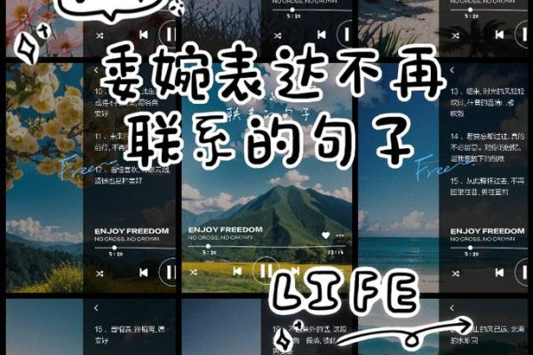 命不合的缘分，如何优雅解决生活中的不协调关系？