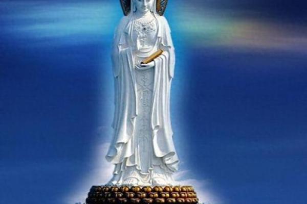 属猪人在2023年选择什么命，幸福与财富的最佳组合！