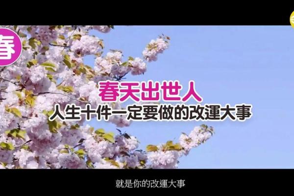 饿金命的数字之迷：揭秘它们背后的秘密与魅力