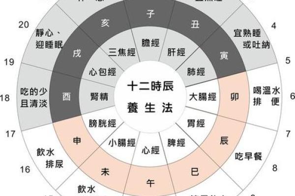中医视角下的最佳受孕时辰，让你轻松迎接新生命