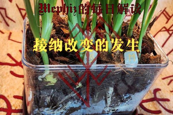 2019年21岁命运解读：探索青春与发展的无限可能性