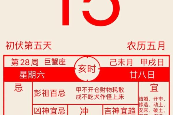 探索命理奥秘：有哪些软件可以帮助你测算命主运势？
