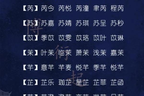 属兔人在2023年的命运与生活密码：探讨36岁这一年