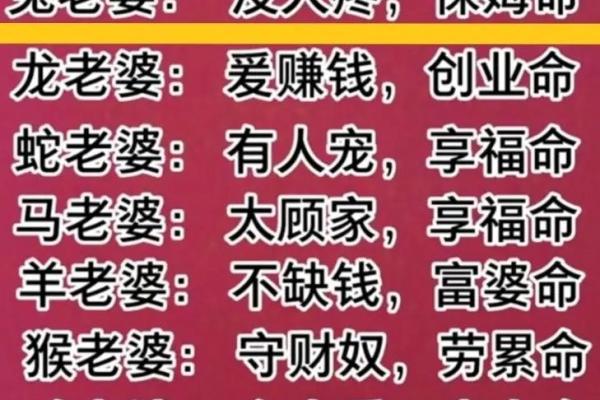 女命属鸡忌哪些属相？解密命理与人际和谐的奥秘！