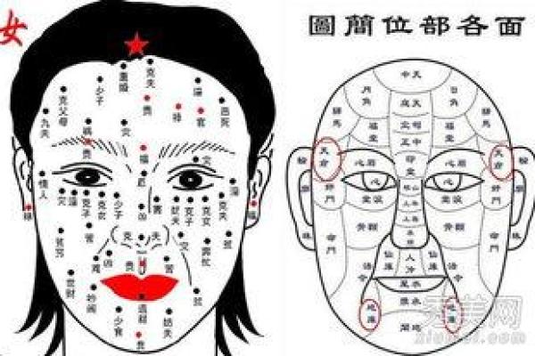 嘴唇太厚的人命运解析：你无法想象的五大特点与影响