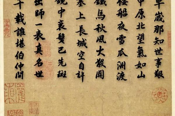 海中金命：书法的智慧与灵性之旅