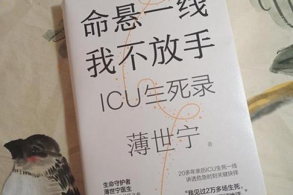 缘也是命——探寻人生的偶然与必然