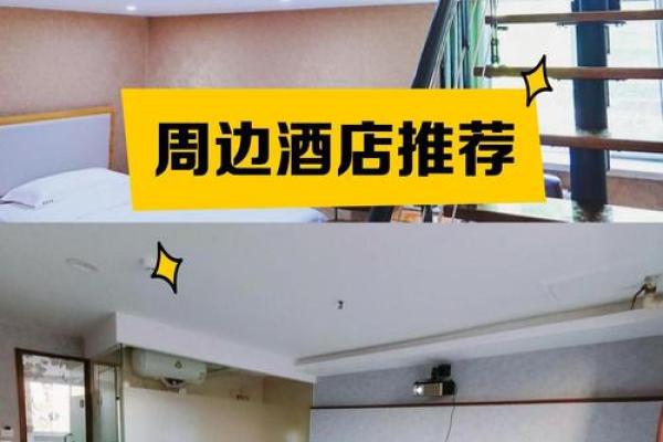 探索火命结束后的新生：转变与重生的旅程