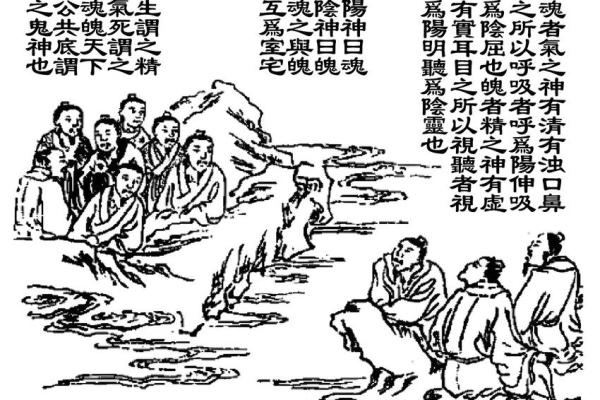凤凰化身：探寻神秘命理与生命转化的奥秘