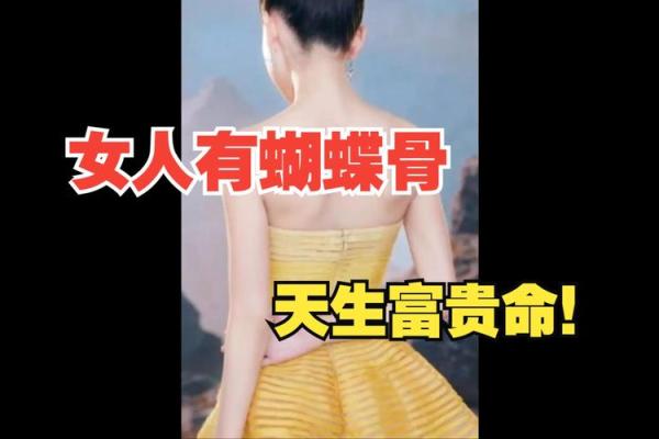 探索天生富贵命的奥秘：从命理到心态的完美结合