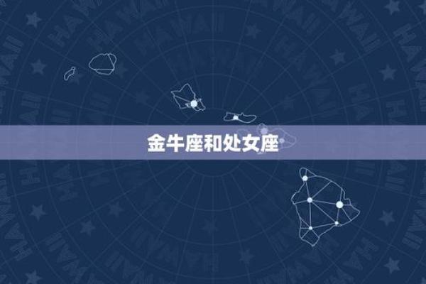 揭秘1962年出生的人命运：星座与性格的奥秘