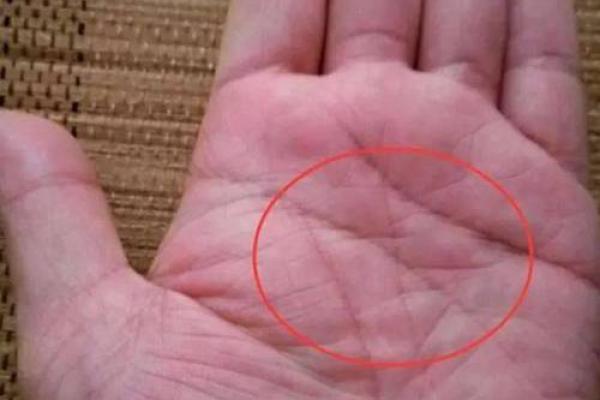 揭秘手相：如何通过手相看出男性的幸福与好命之路