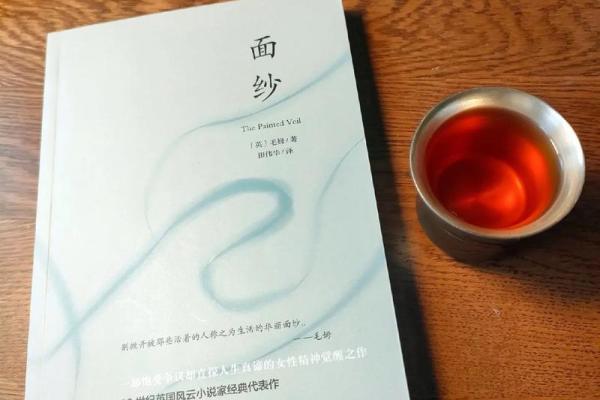 1993命运的启示：揭开人生的神秘面纱