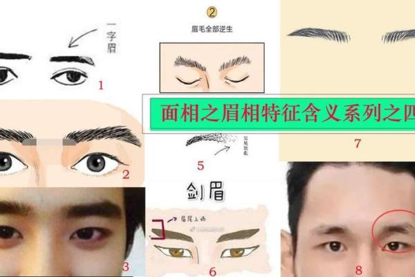 眉毛很长的人有什么命运？揭秘你的面相之谜！