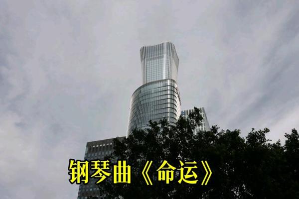 生活的五感之美：眼耳口鼻与命运的交响曲
