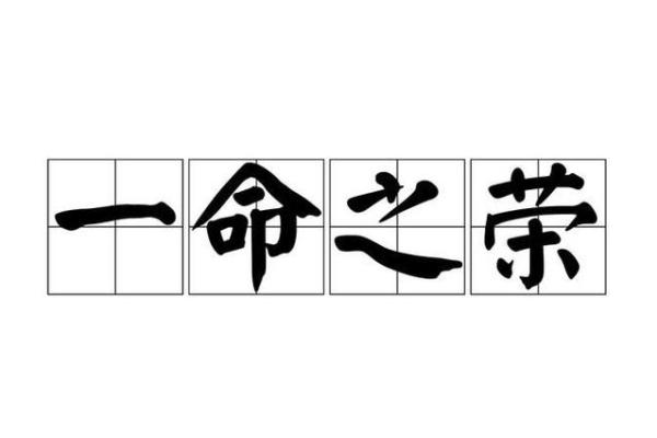 探寻妙用成语的艺术之美，从“命”字谈起