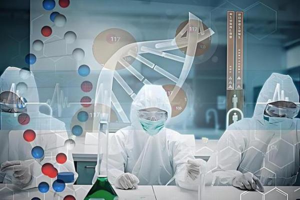 探索命运之道：乙亥辛未丙寅癸巳的命理解析与人生启示