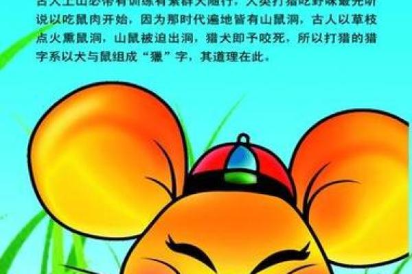 2023年5月老鼠命运解析：小鼠的幸运与挑战之旅