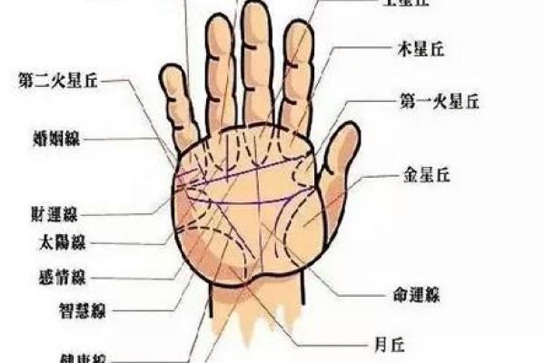 通过手相看命运：揭示你未来的秘密