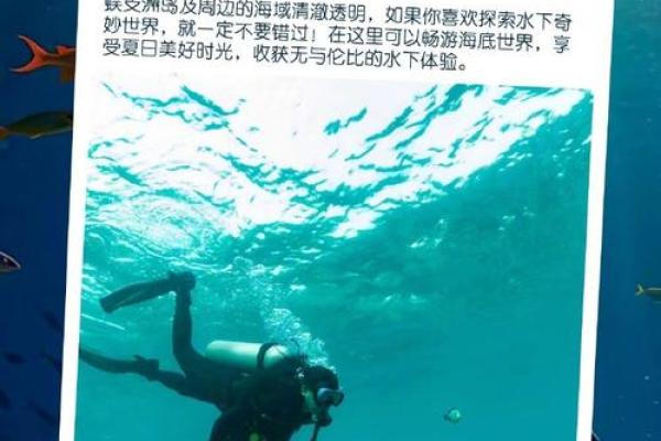 巨蟹女：水命的温润与深邃，情感的海洋之旅