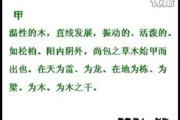 探索三命通会的奥秘：命理学中的智慧与启示