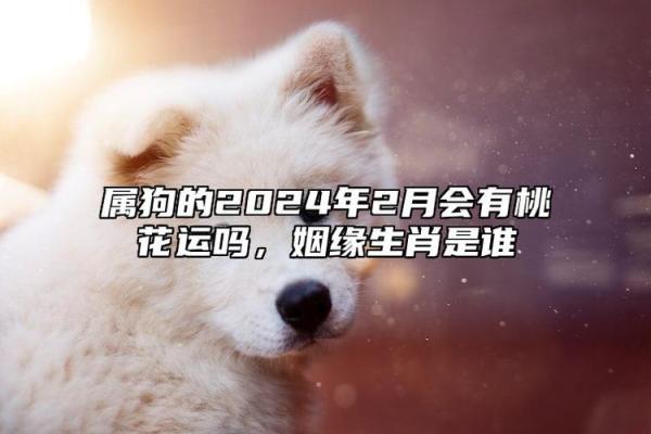 2022年属狗的人命运解析：爱与勇气的启示之旅