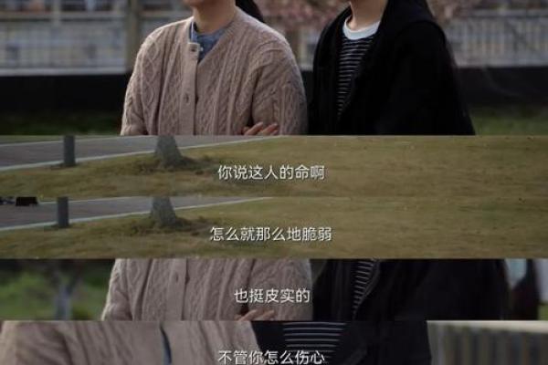 一九六五年出生的人：命运与人生的独特之旅