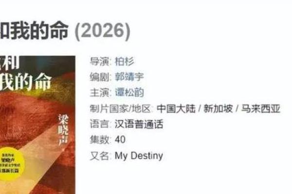 创业命是什么？揭开创业背后的真相与智慧