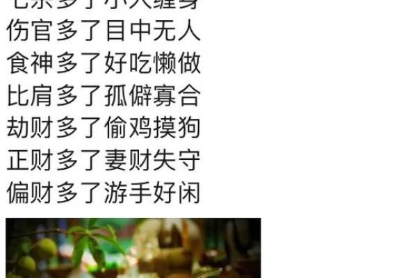 属相狗的人1970年的命运解析与人生智慧