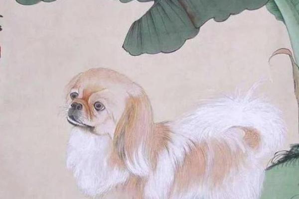 属狗午时出生的人命运解析：如何发挥潜能，创造美好生活