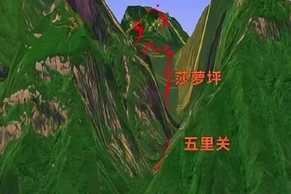命硬的人应该纹什么？探索适合命硬者的纹身选择与意义