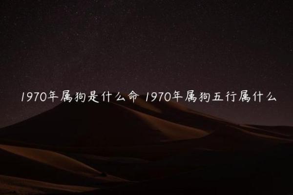 生于1958年，属狗的命运解析与生活智慧探讨