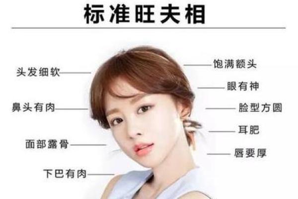海中金命的颜色运用与提升运势的秘诀