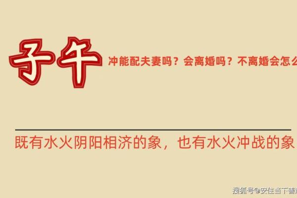 探秘命理：乙丑甲申丁酉的命运之旅
