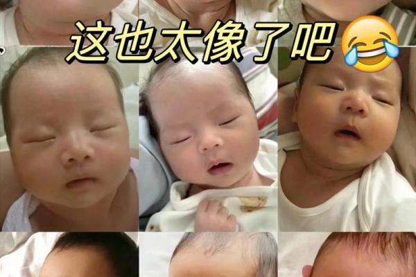 明年龙宝宝命理解析：2024年新生儿的命运与个性展望