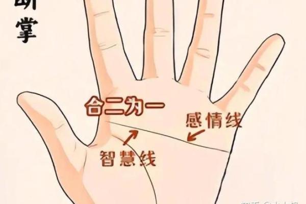 老公双手断掌：命运与性格的深度解析