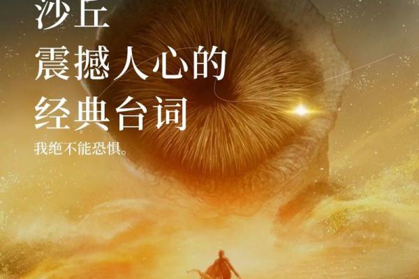 通过脚趾长短看命运，揭示人生奥秘的秘密武器！