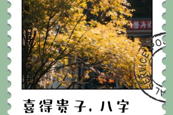 贵子命：富贵繁荣的命理解析与人生启发