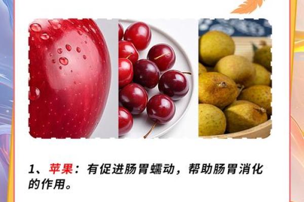 孩子胃口大是福？浅析婴幼儿饮食与健康关系