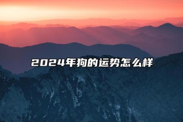 1982年正月十二：揭开命理与运势的神秘面纱