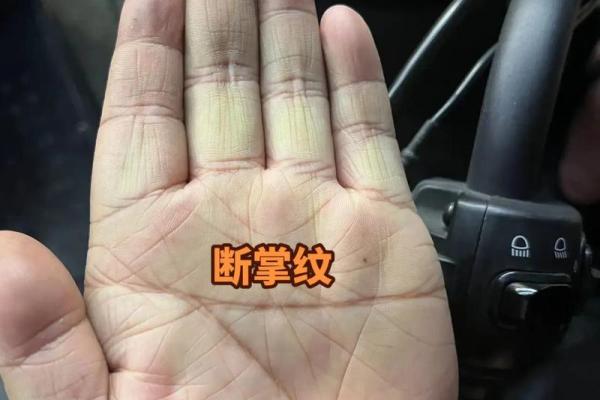 老公双手断掌：命运与性格的深度解析