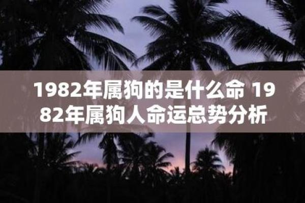 1948年出生的人生运势与命运解析