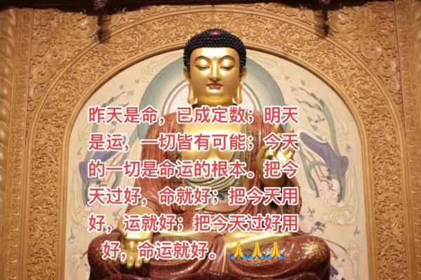 命运的选择：当“命”字引领人生的奇幻之旅