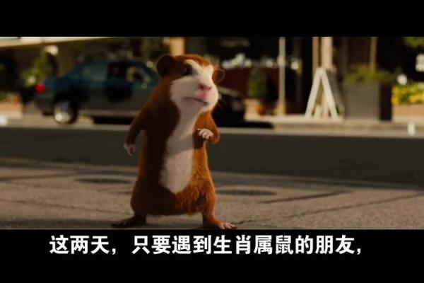 嗜睡如命的生肖揭晓：一探究竟谁是睡神之王！