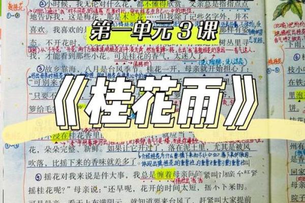 桂花命：探寻桂花背后的情感与象征