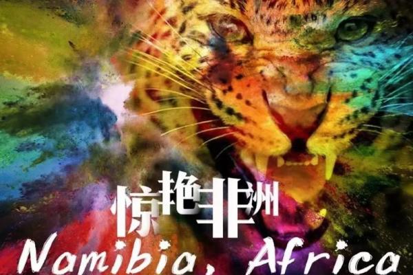 换血技术：探索生命延续的奇迹之旅