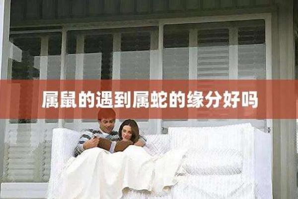 1996年属鼠人的命婚配：缘分的奇妙与秘诀